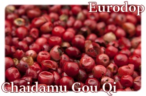 chaidamu-goji-berry