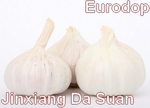 Jinxiang Da Suan