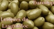 Lucques du Languedoc