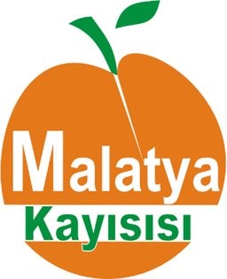 Malatya Kayisisi