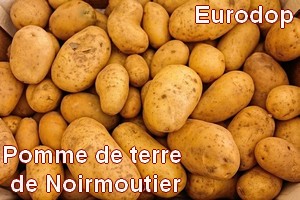 Pomme de terre de Noirmoutier Igp