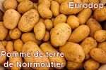 pomme-de-terre-de-noirmoutier-igp