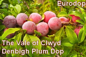 The Vale of Clwyd Denbigh Plum