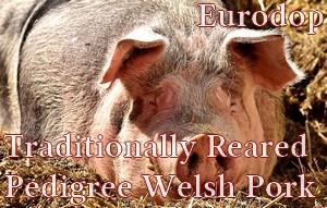 Traditionally Reared Pedigree Welsh Pork