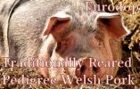 Traditionally Reared Pedigree Welsh Pork
