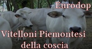 Vitelloni Piemontesi della coscia