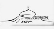 Castagna di Roccamonfina Igp